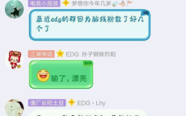 edg小姐姐封号,揭秘电竞圈风云变幻