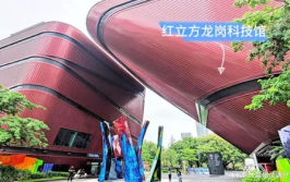 红立方博物馆官网,红色历史的见证与传承之旅