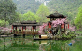 酉阳星乐园,梦幻星际之旅，探索未知奇幻世界